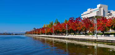 Canberra Autumn